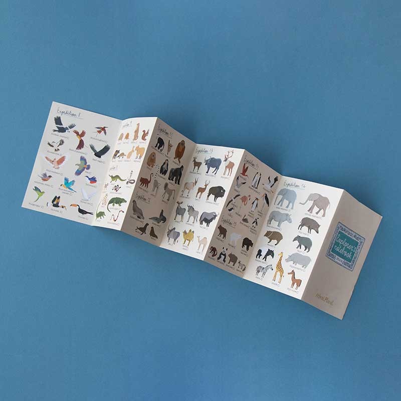 <p>descubrir animales del planeta</p>